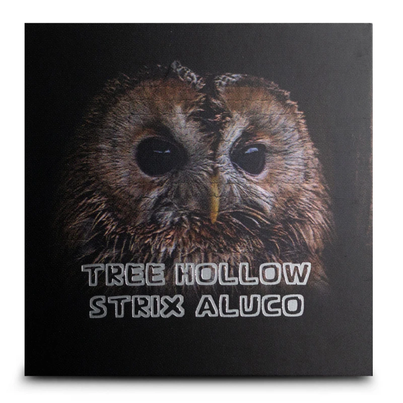 Srebrna moneta Samoa 