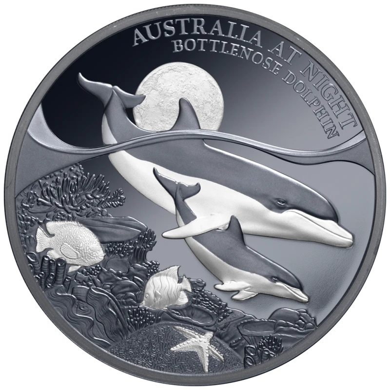 Niue: srebrna moneta Delfin butlonosy 2025 Proof o wadze 1 uncji Monety kolekcjonerskie