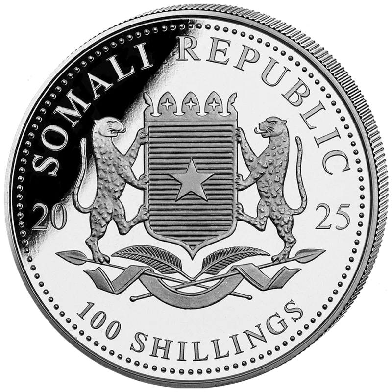 Srebrna moneta Somalia African Wildlife Leopard 2025 pozłacana 1 uncja Monety kolekcjonerskie