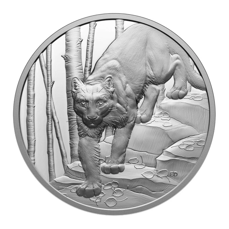 Kanada: srebrna moneta Cougar 2024 Proof 1 uncja Monety kolekcjonerskie
