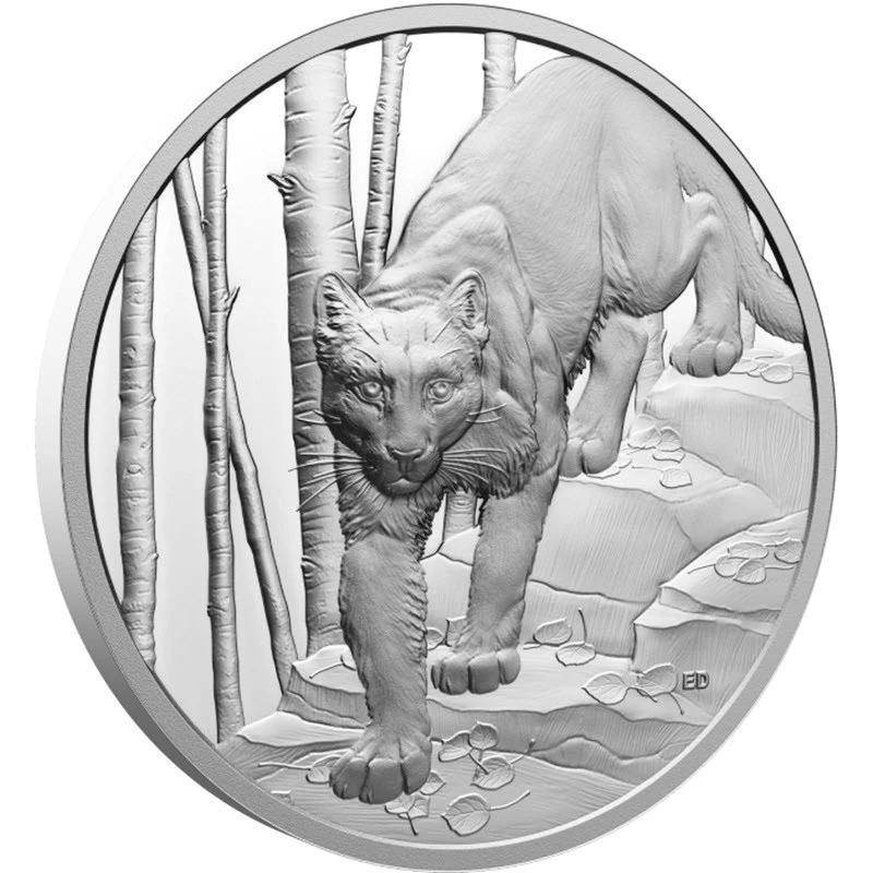 Kanada: srebrna moneta Cougar 2024 Proof 1 uncja Monety kolekcjonerskie