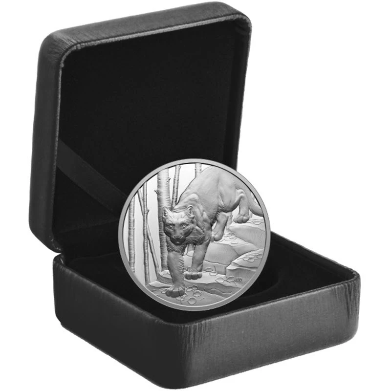 Kanada: srebrna moneta Cougar 2024 Proof 1 uncja Monety kolekcjonerskie
