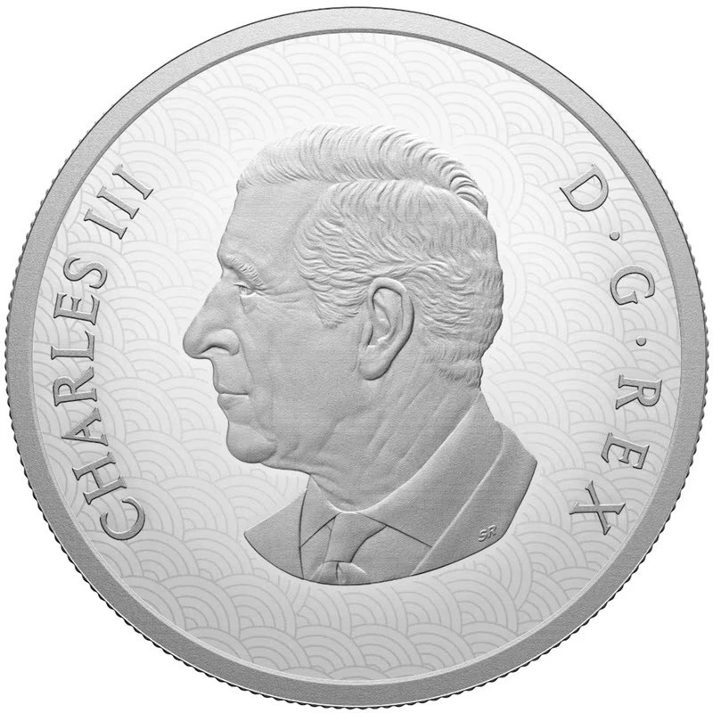 Canada: silver coin Year of the Horse 2026 Proof 1 oz Collectible coins