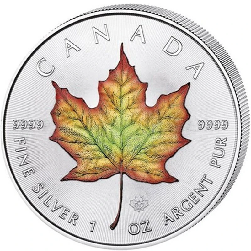 Canada: silver coin Maple Leaf 2024 colored 1 oz Collectible coins