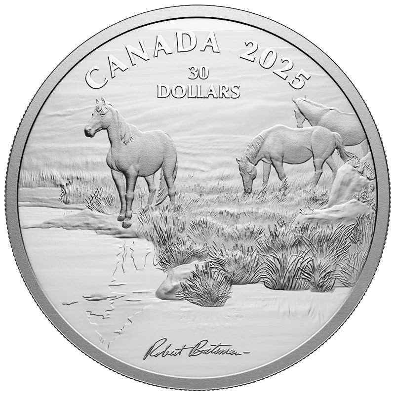 Canada: silver coin Mustang Country 2025 Proof 2 oz Collectible coins