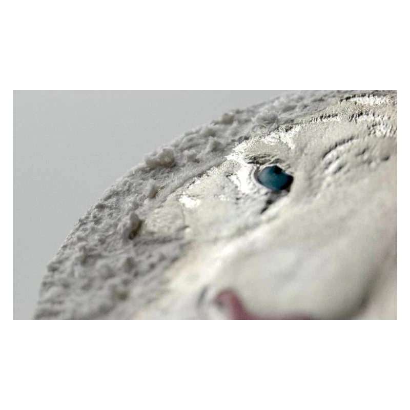 Niue: srebrna moneta Biały Tygrys 2022 o wadze 3 uncji Monety kolekcjonerskie