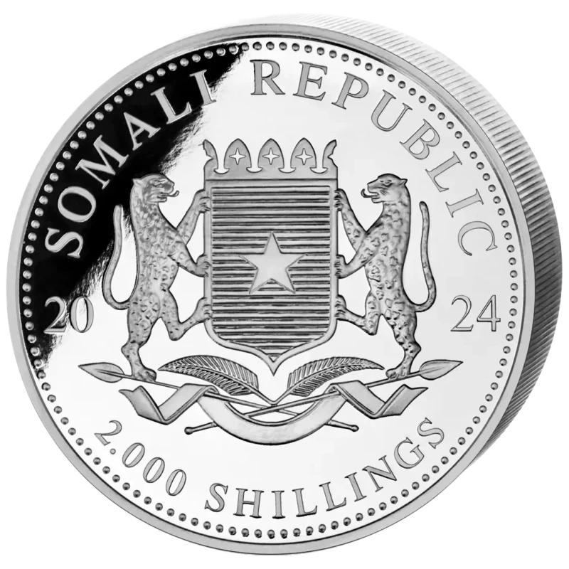 Srebrna moneta Somalia Afrykańska dzika przyroda Leopard 2024 1000 g Monety kolekcjonerskie