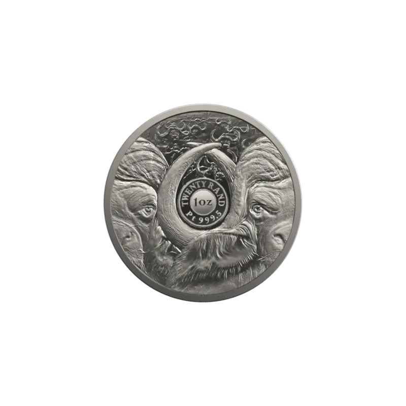 Platynowa moneta RPA Buffalo 2023 Proof o wadze 1 uncji Monety kolekcjonerskie