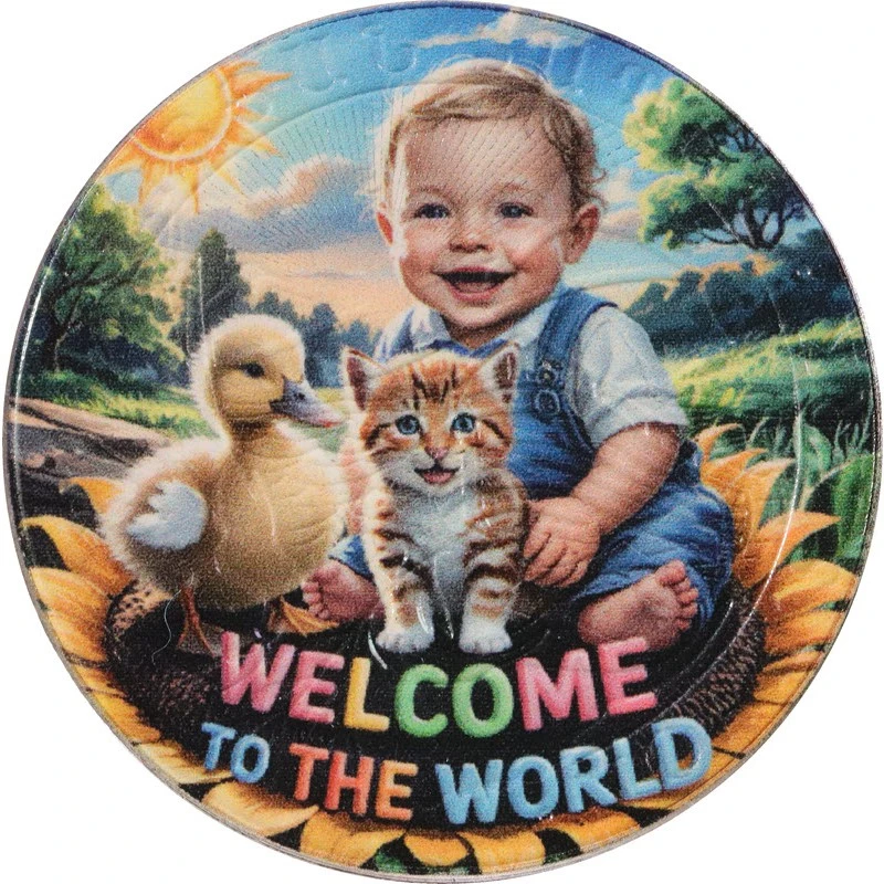 Srebrna moneta Armenia Arka Noego Baby Boy 2025 kolorowa 1 uncja Monety kolekcjonerskie